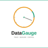 Data gauge